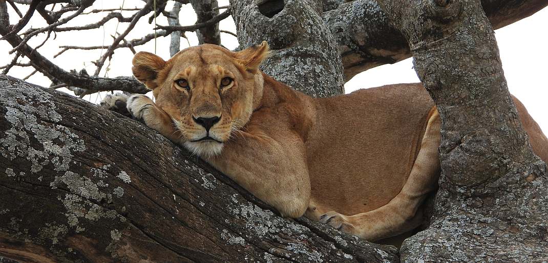 טיול מאורגן כשר - לאן טסים רגע אחרי החגים?